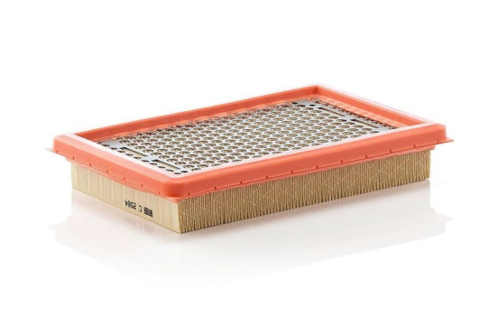 Filtre à air C 2564 Mann, Image 2