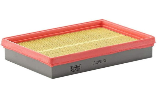 Filtre à air C 2573 MANN-FILTER
