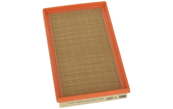 Filtre à air C 2653 MANN-FILTER
