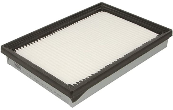 Filtre à air C 27 025 Mann