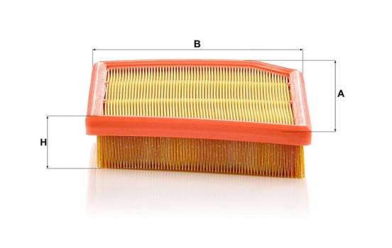 Filtre à air C 29 031 MANN-FILTER, Image 2