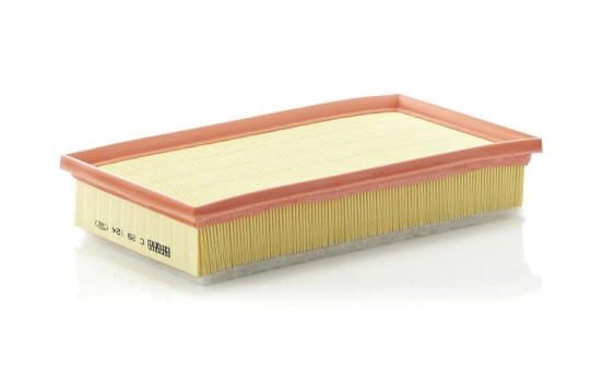 Filtre à air C 29 124 Mann, Image 3