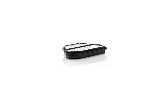 Filtre à air C 3027/1 Mann