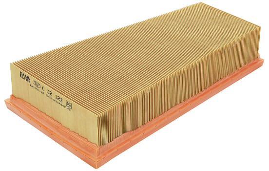 Filtre à air C 32 123 Mann