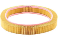Filtre à air C 42 098 Mann