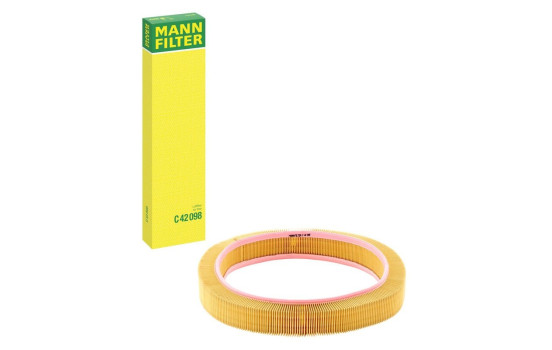 Filtre à air C 42 098 Mann, Image 4