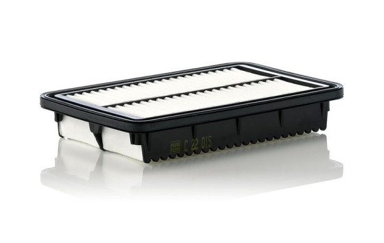 Filtre à air C22015 MANN-FILTER, Image 2
