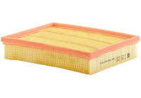 Filtre à air C25035 MANN-FILTER