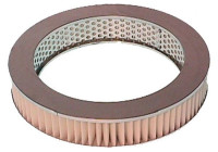 Filtre à air DA-778 AMC Filter