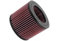 Filtre à air E-2443 K&N