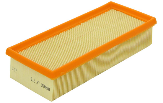 Filtre à air LX 719 Mahle