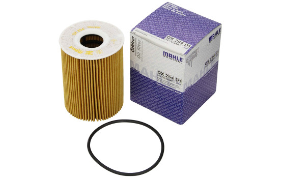 Filtre à huile OX 254D1 Mahle