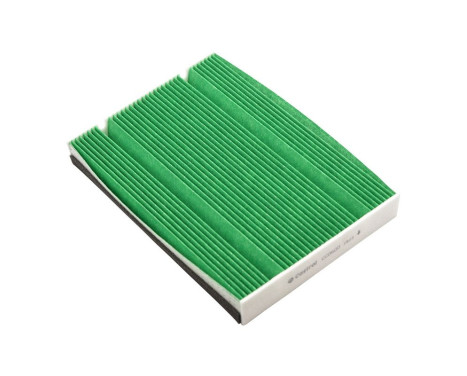Filtre intérieur Basic+