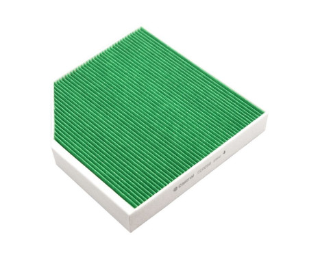 Filtre intérieur Basic+