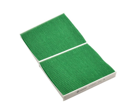 Filtre intérieur Basic+