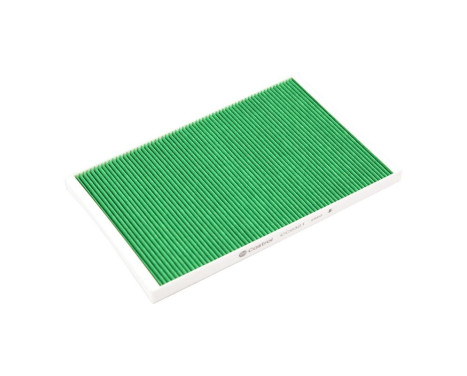 Filtre intérieur Basic+
