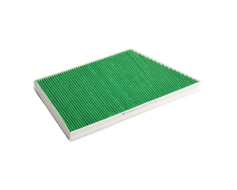 Filtre intérieur Basic+