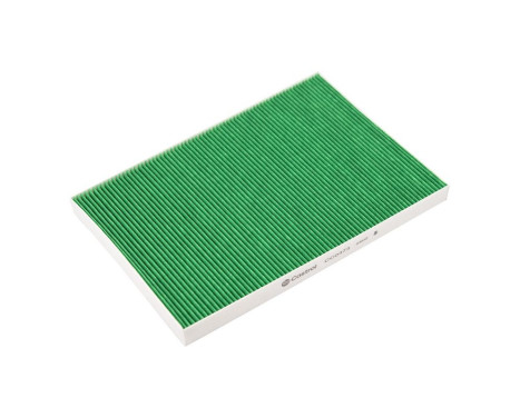 Filtre intérieur Basic+
