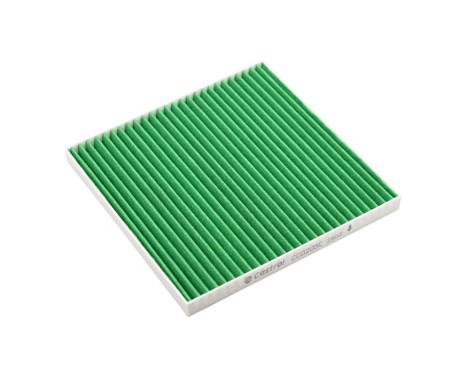 Filtre intérieur Carbon+