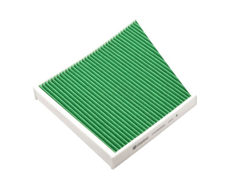 Filtre intérieur Carbon+