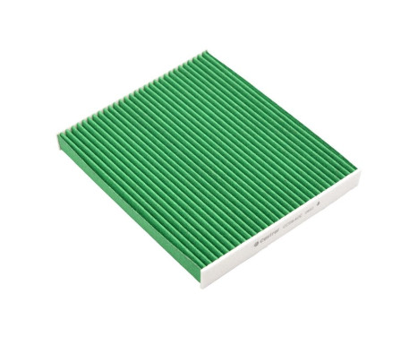 Filtre intérieur Carbon+