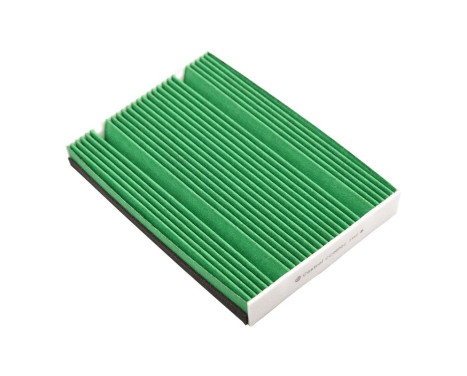 Filtre intérieur Carbon+