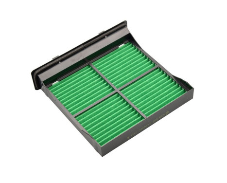 Filtre intérieur Carbon+