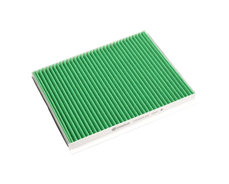 Filtre intérieur Carbon+