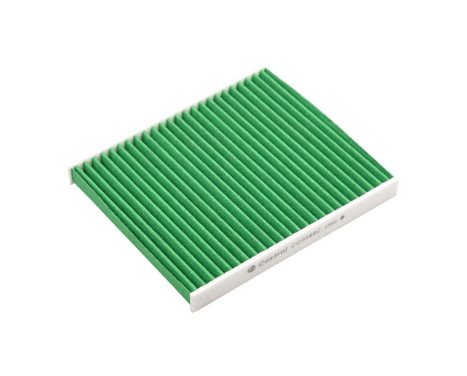 Filtre intérieur Carbon+