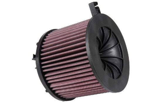 Filtre de rechange K&N sur mesure pour Audi A4 (B9) E-0646 K&N, Image 2