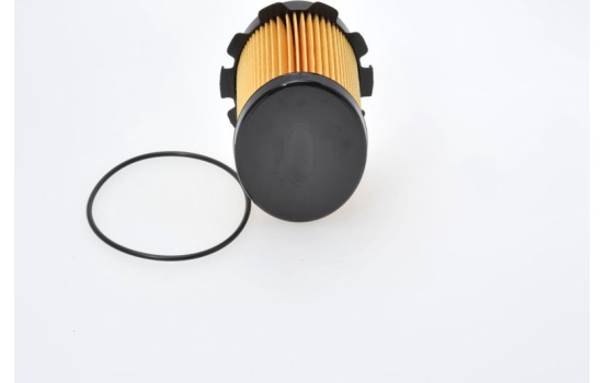 Filtre à carburant N1703 Bosch, Image 5