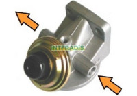 TETE DE FILTRE A GASOIL TYPE CAV EN