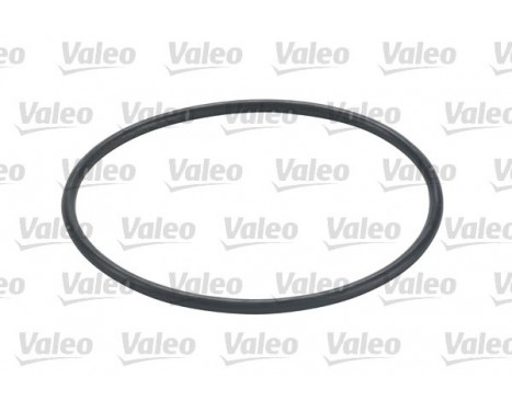 Valeo Filtre à Carburant Diesel, Image 5