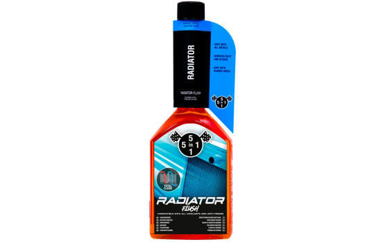 Rinçage de radiateur 5 en 1 310 ml