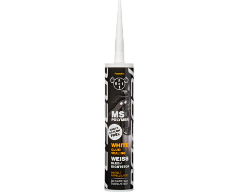 5en1 MS Polymère blanc 290ml