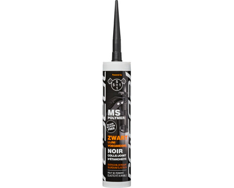 5en1 MS Polymère noir 290ml