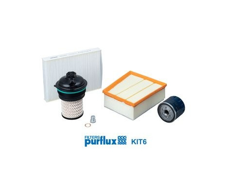 Conjunto de filtros KIT6 Purflux