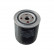filtro de aceite ADV182130 Blue Print, Miniatura 2