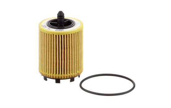 Filtro de aceite HU6007X Mann, Imagen 3