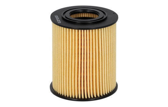 Filtro de aceite OE 649/5 Filtron