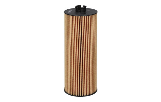 Filtro de aceite OE 651/2 Filtron