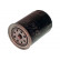 Filtro de aceite TO-118 AMC Filter