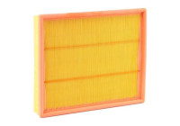Filtro de aire A1043 Purflux