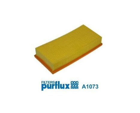 Filtro de aire A1073 Purflux
