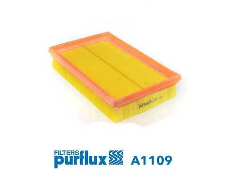 Filtro de aire A1109 Purflux