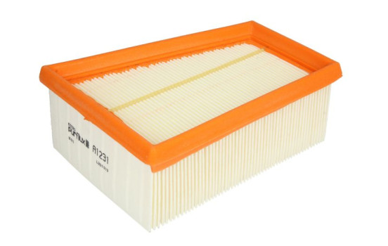 Filtro de aire A1231 Purflux