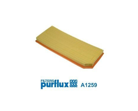 Filtro de aire A1259 Purflux