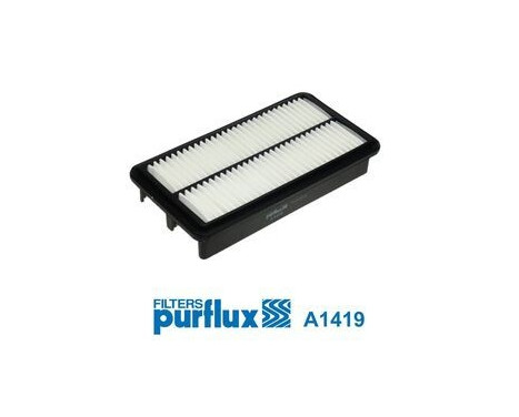 Filtro de aire A1419 Purflux