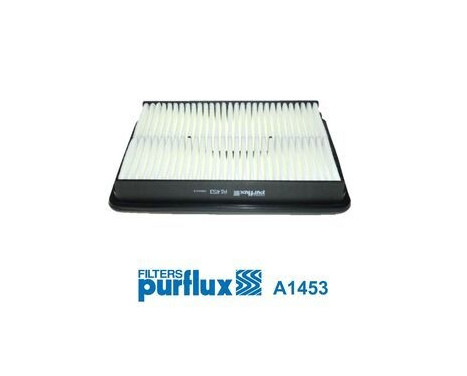 Filtro de aire A1453 Purflux