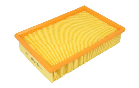 Filtro de aire A221 Purflux